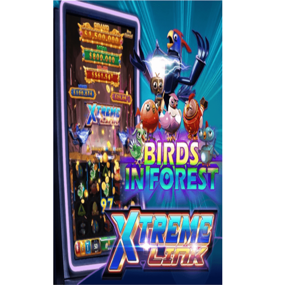 Xtreme Link - Image 2