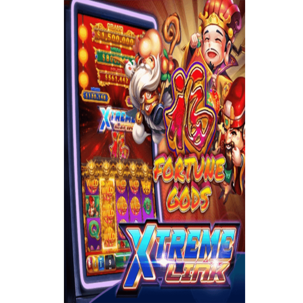 Xtreme Link - Image 4
